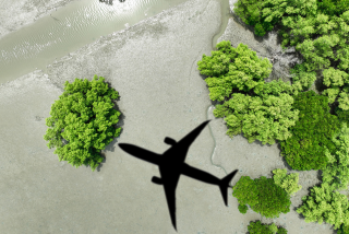 Tendências de viagem para 2025